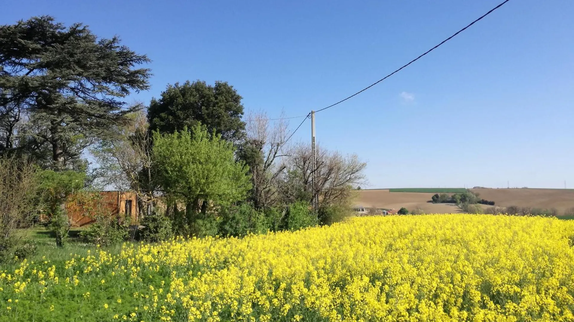 Tiny House - Chalet Dans La Campagne Lauragaise Baziege France
