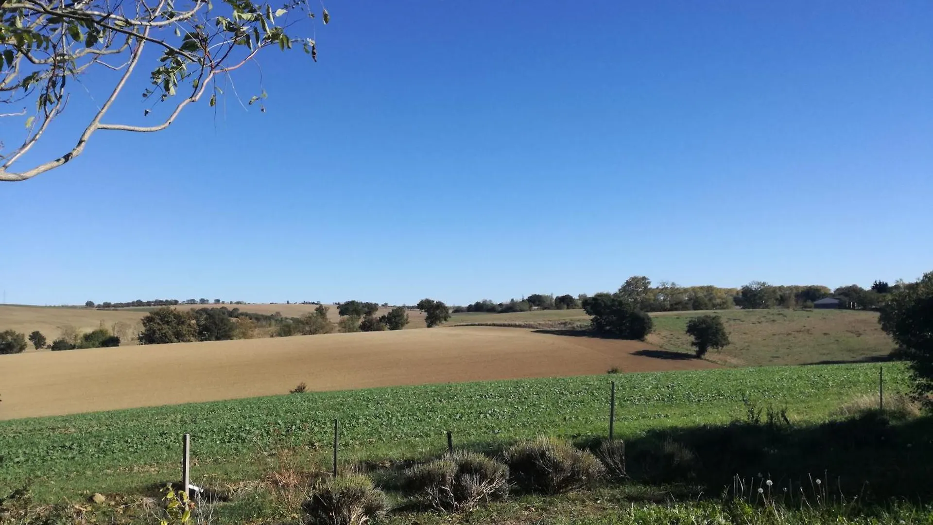 Tiny House - Chalet Dans La Campagne Lauragaise Baziege Apartment